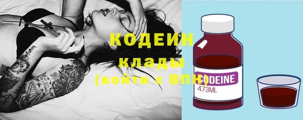 apvp Ельня