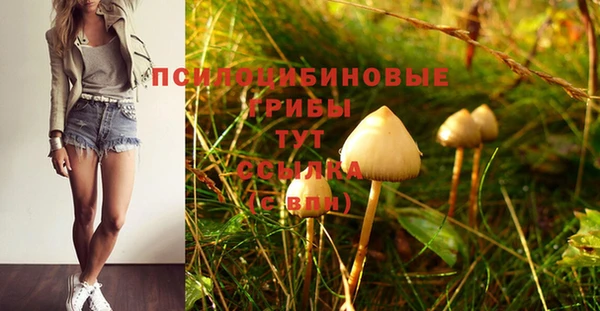 бутик Дмитриев