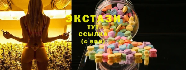 apvp Ельня