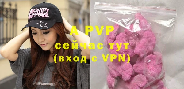apvp Ельня